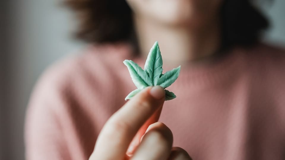 האם CBD בטוח לשימוש?