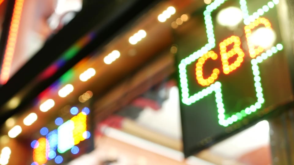 תופעת טבע ושמה CBD – דינמיקת שוק, התנהגות צרכנים ומבט אל העתיד