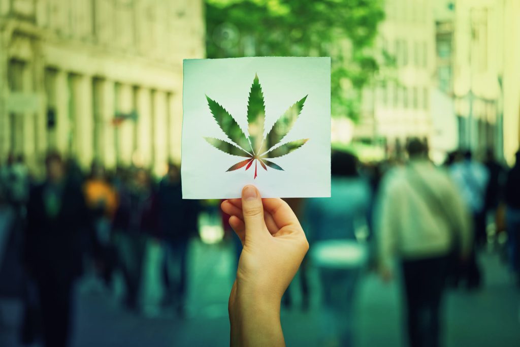  זוכה למעמד חוקי ומקל יותר מ- THC, ומדינות רבות כבר הכירו ביתרונות הטיפוליים הפוטנציאליים שלו