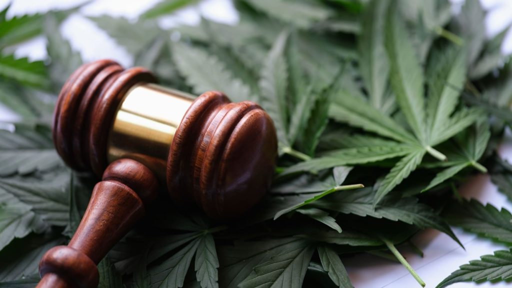 האופן החוקי בו ניתן לצרוך CBD הוא באופן סינתטי שאינו מופק מקנאביס