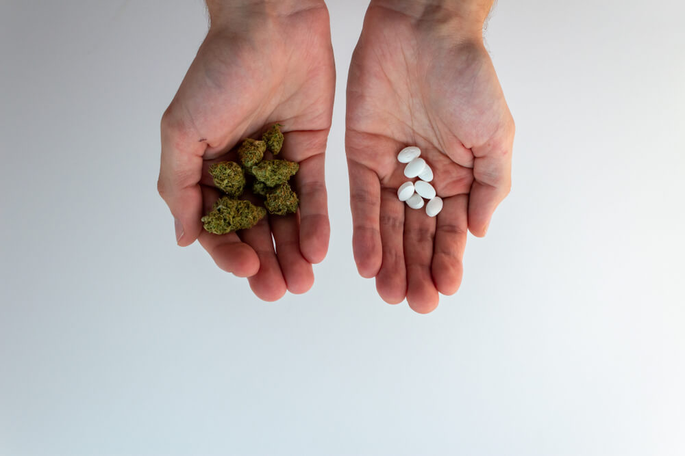 שילוב מסוכן? CBD ואינטראקציה עם תרופות