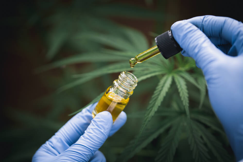 CBD תורם להפחתת דלקתיות בגוף ועשוי למנוע היווצרות עמידות לאינסולין