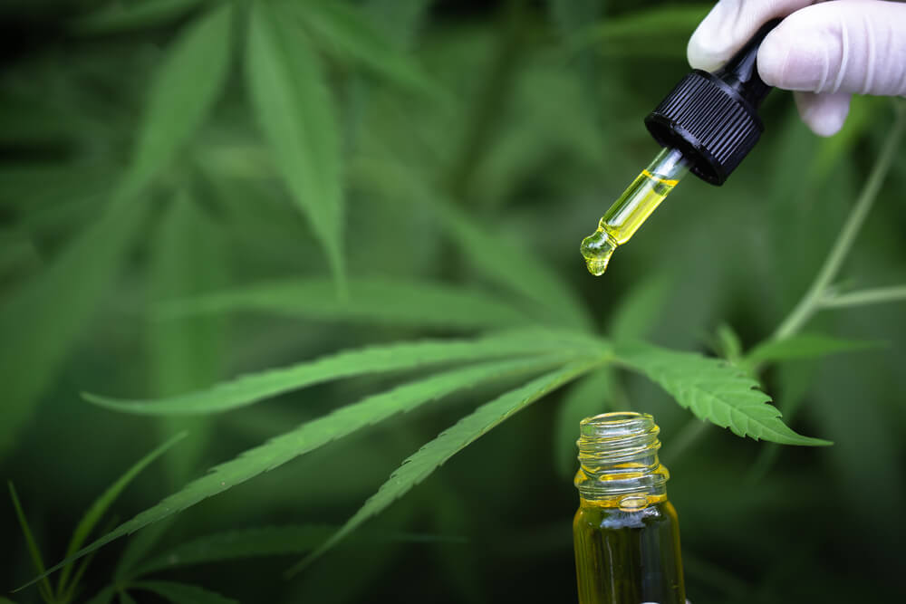CBD מציג פוטנציאל טיפולי נרחב הכולל שיכוך כאבים, אנטי-דלקתיות, הקלה בחרדה ושיפור השינה