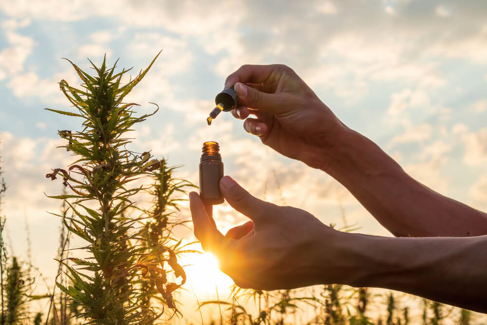 האם CBD מעלה את רמת האנרגיה?