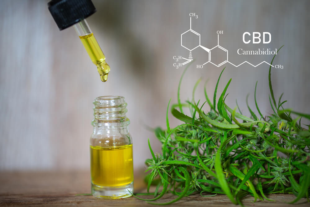 CBD נודע ביכולותיו לשכך כאבים ודלקת ולהרגיע חרדה