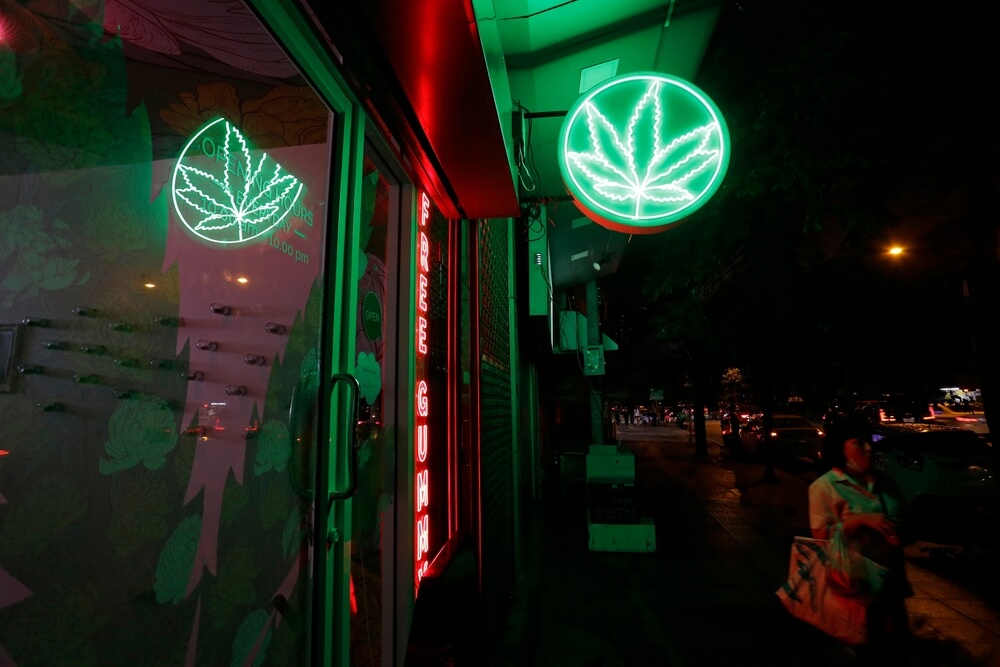 מעמדו החוקי של CBD ברחבי העולם: מורכבות רגולטורית ומגמות עתידיות